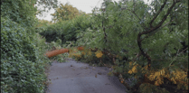 Devon Highways teams thanked for swift clear-up after storm