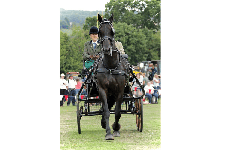 It's action stations ahead of Christow Show