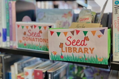 Seed Library 