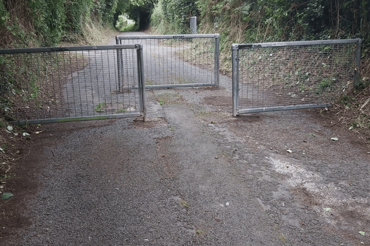 Five Lanes footpath cleared of debris by Kingsteignton Town Council 