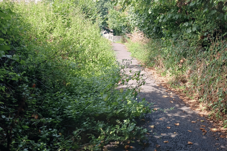 Five Lanes footpath cleared of debris by Kingsteignton Town Council 