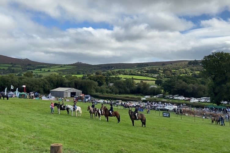 Widecombe Fair