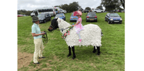 Readers Pictures: Is it a bird? A plane, a horse or a sheep?