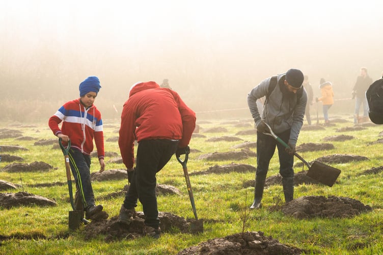 Woodland Trust offering free trees