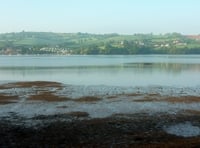 New bacteria ‘threat’ detected in River Teign