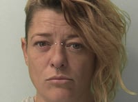 Woman jailed after setting light to car in 'cry for help' 