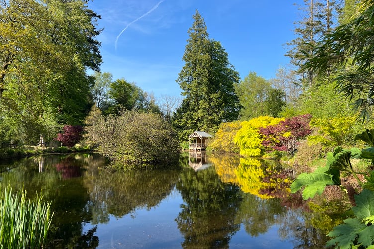 The lake and summerhouse at Heathercombe Gardens near Manaton