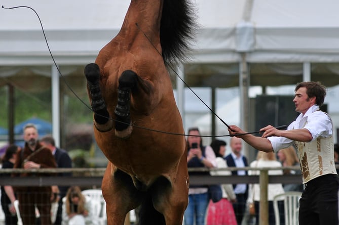 Devon County Show. Mesmerising horsemanship from the Atkinson Action Horses Display