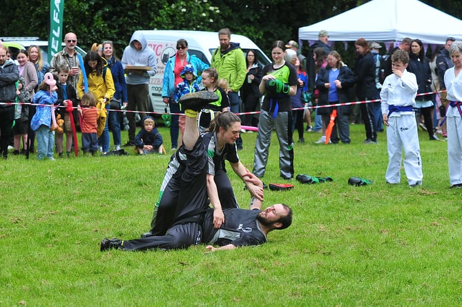 Kingsteignton Ram Roast Fair.Newton Abbot Martial Arts display
