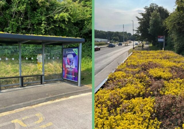 Nine buzz shelters take root across Teignbridge