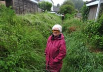 Council 'passing the buck' over Ashburton footpath says homeowner 