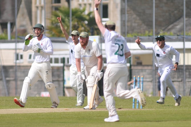 Devon Cricket League Premier Division. Bovey Tracey versus Sidmouth. Jubilation for Sidmouth as another Bovey wicket bites the dust - in this case Ed Foreman's 
