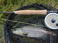 SW Lakes Trust Trout Fisheries Report