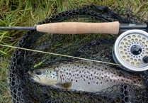 SW Lakes Trust Trout Fisheries Report