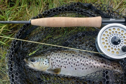 SW Lakes Trust Trout Fisheries Report