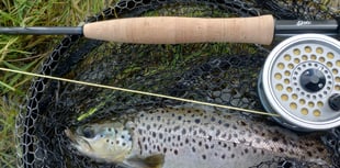 SW Lakes Trust Trout Fisheries Report