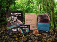 Lions, sloths and red pandas are all in need of adoption