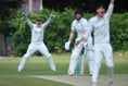 Tolchards Devon Cricket League weekend preview 06/07
