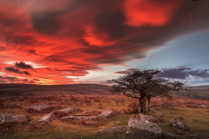 Dartmoor national park, Dartmoor 