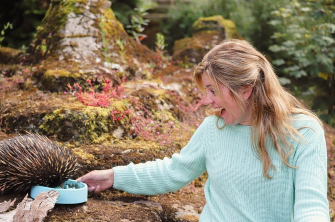 Echidna-Experience Paignton Zoo