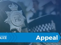 Appeal for information following thefts from cars