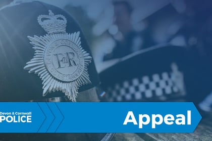 Appeal for information following thefts from cars