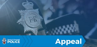 Appeal for information following thefts from cars