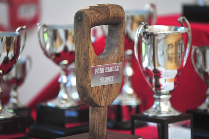 Stokeinteignhead Village Show. The haul of trophies up for grabs