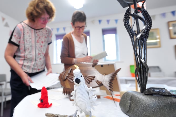 Stokeinteignhead Village Show. Sue Hutching and Liz Kent cast their eyes over arts and craft exhibits