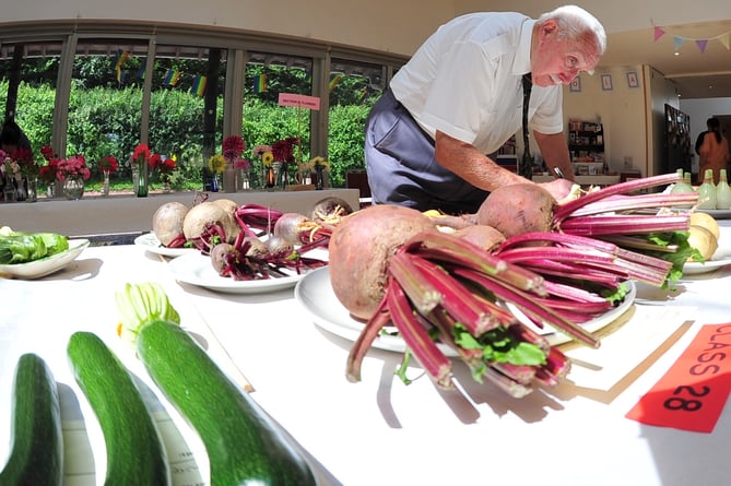 Stokeinteignhead Village Show. Vegetable judge Joe Wallis