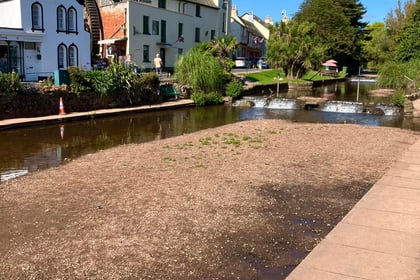 Call to clear 'islands in the stream' to prevent flooding 