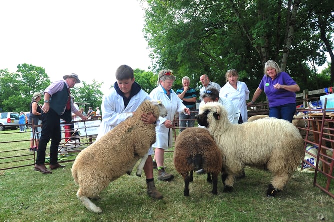 Christow Show