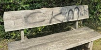 Vandals deface council bench 