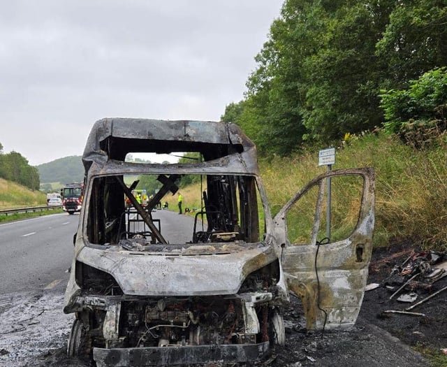 Fire crews tackle A38 blaze