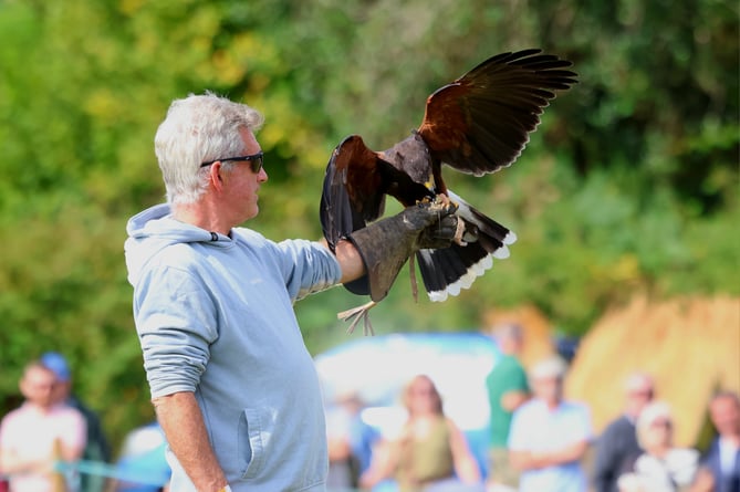 Display by North Devon Falconry at Lustleigh Show