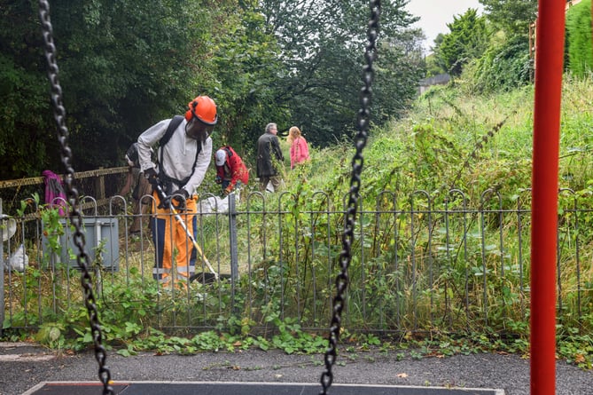 Volunteers clear the overgrown foliage around the Fourth Avenue play area in Teignmouth