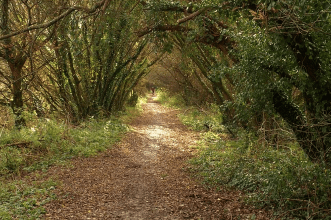 Cycle route along the Templer Way The Templer Way shares this straight path alongside the Heathfield-Newton Abbot railway 