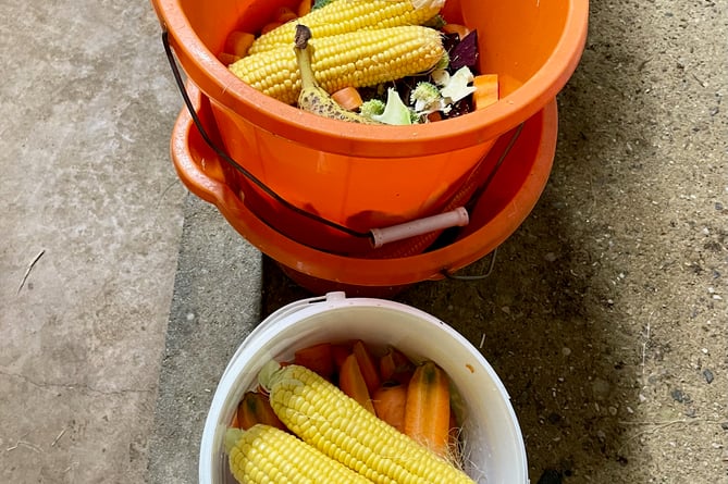 Buckets of vegetables