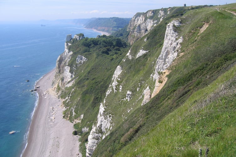 Dorset and East Devon Coast World Heritage Site.
