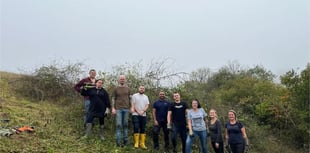 Volunteers help preserve rare butterfly habitat