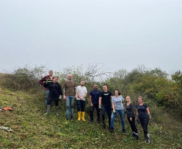 Volunteers help preserve rare butterfly habitat