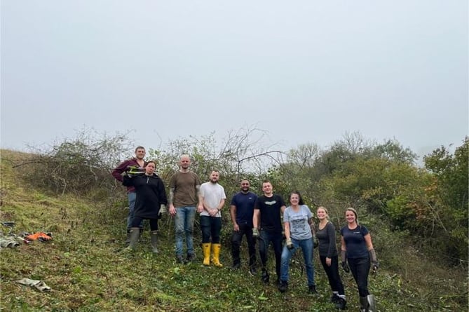 Nine volunteers from NGED spent a day helping boost the chances of a rare butterfly at the Barn Owl Trust reserve near Ashburton.