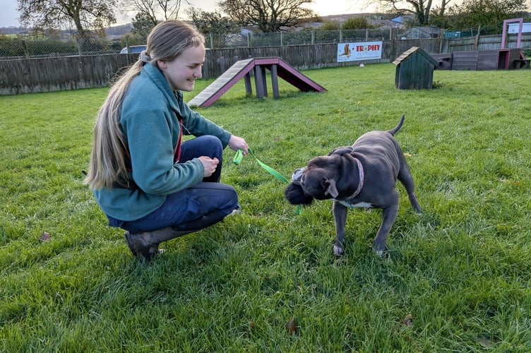 One proud pooch at Animals in Distress is certainly happy playing with the new toys