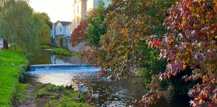 Work starts on restoration of Dawlish Brook  