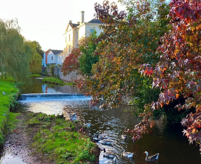 Work starts on restoration of Dawlish Brook  