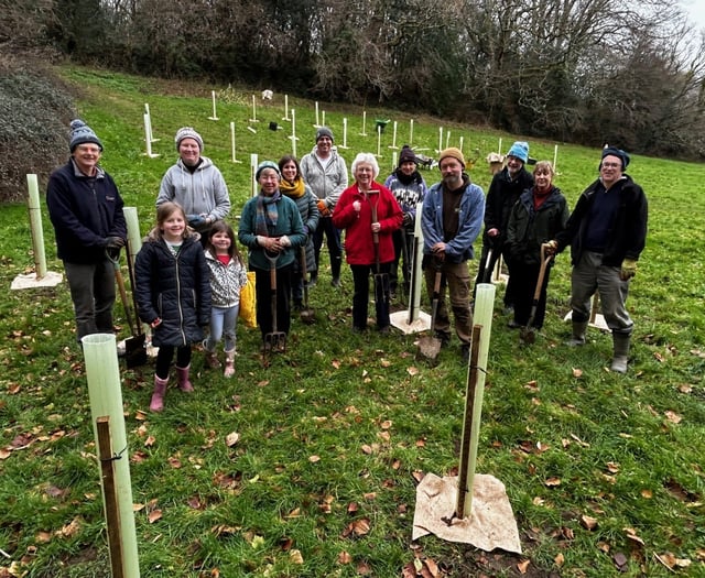 Trees planted to help planet