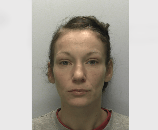 Woman jailed for shop thefts in South Devon