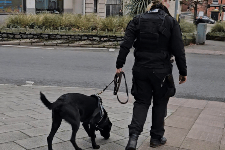 PC Sara Fleming leads PD Ken, who already has his nose to the ground 