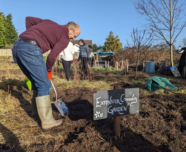 Community garden taking shape