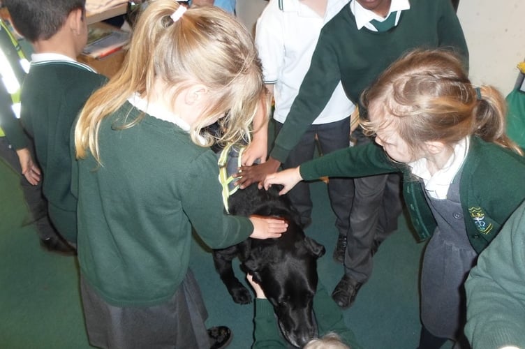 Ridley Guide Dog meeting children at OLSP Teignmouth